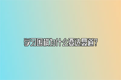 学习围棋为什么要选聂道？